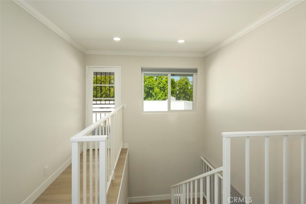 34311 Amber Lantern Street