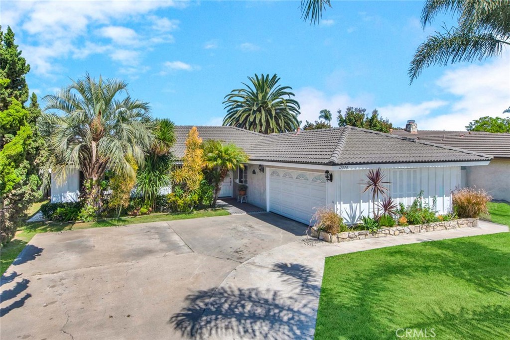 17830 Cashew Street