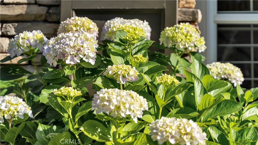 12 Merriweather Place