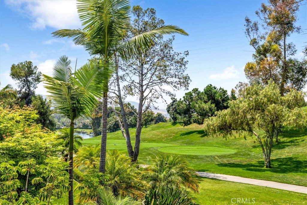 31001 Marbella Vista