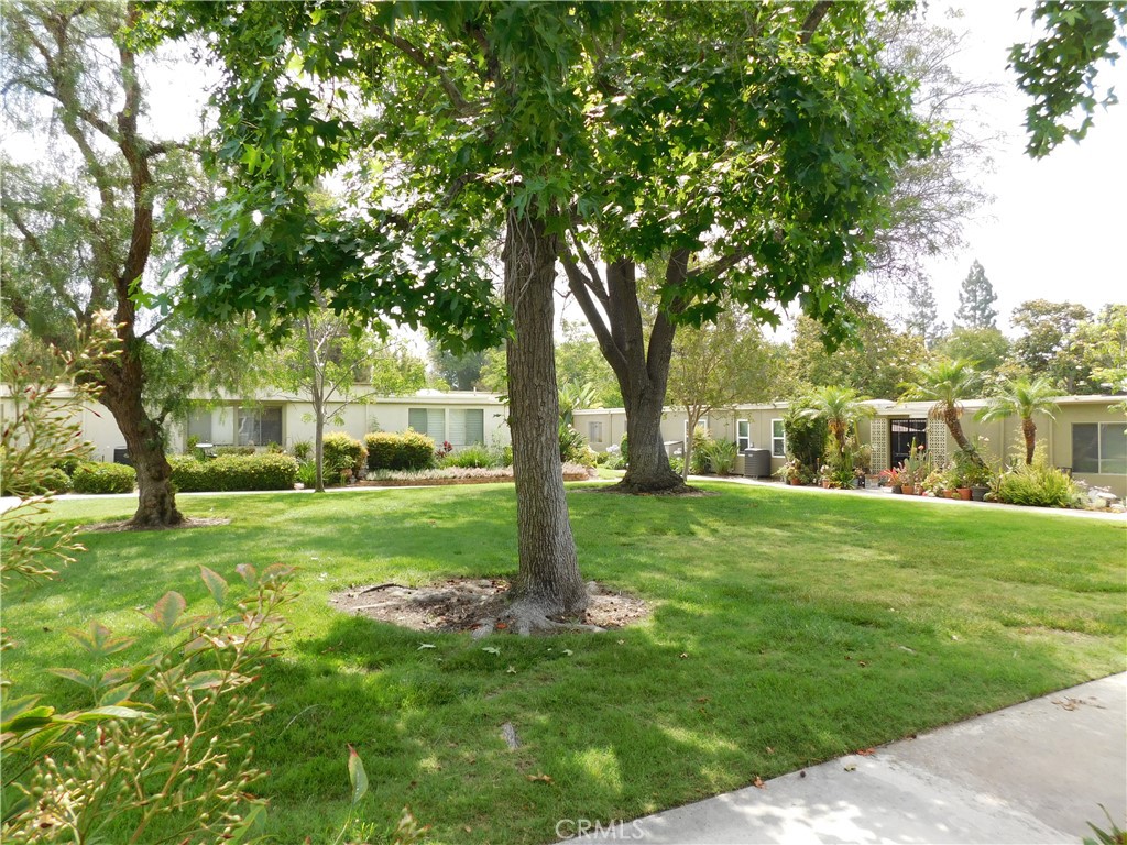 153 Avenida Majorca # B