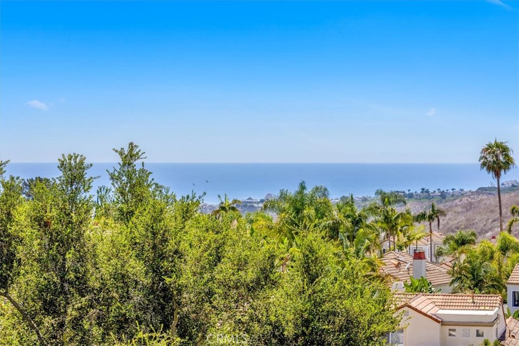 1058 Calle Del Cerro 1007