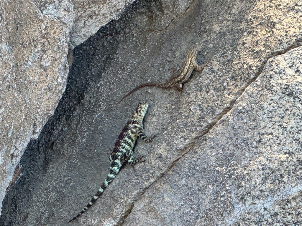 2280 El Capitan Drive