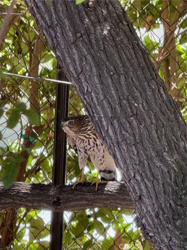 2280 El Capitan Drive