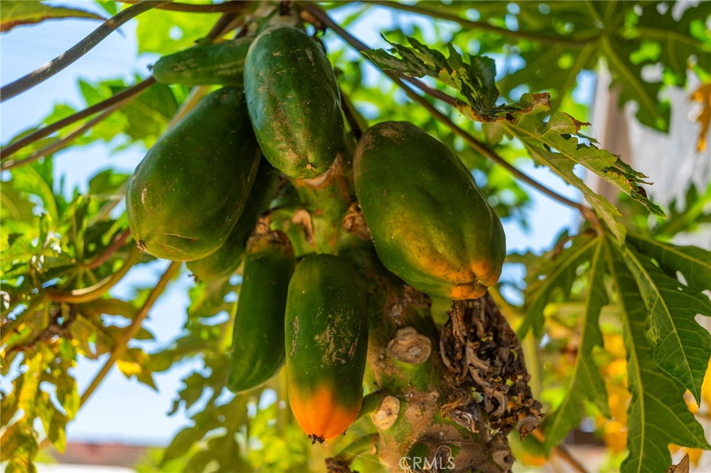 5512 Middlecoff Drive