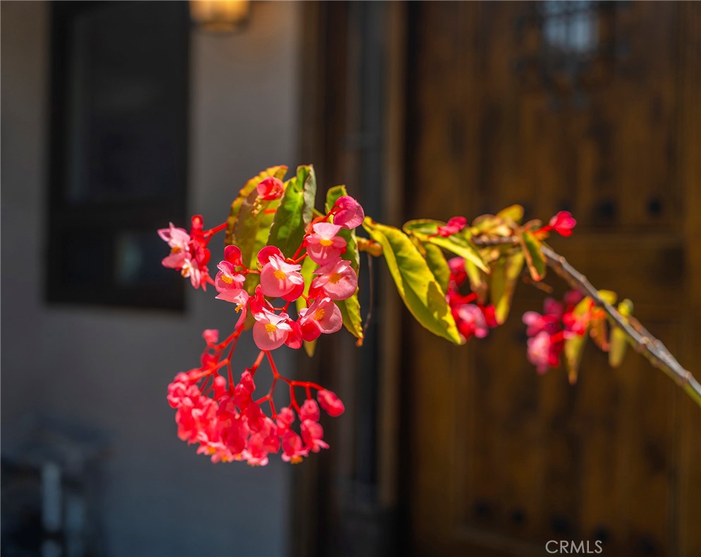 5512 Middlecoff Drive