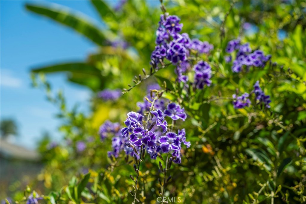 5512 Middlecoff Drive