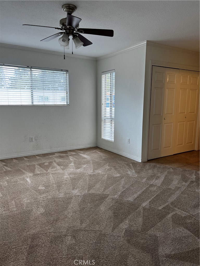 16721 Algonquin Street