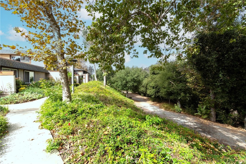 26475 Via Damasco #31