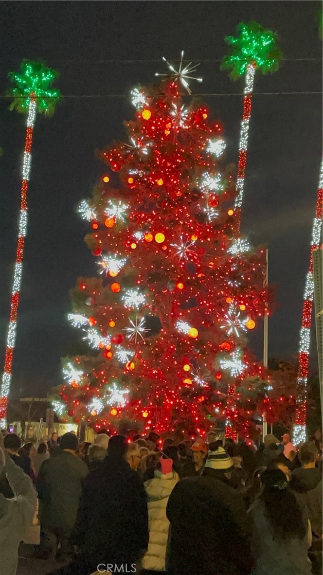 33921 Calle La Primavera