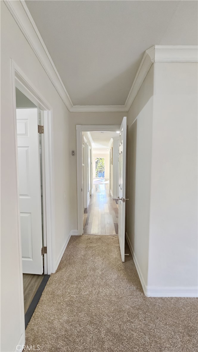 20302 #4 Flower Gate Lane 4
