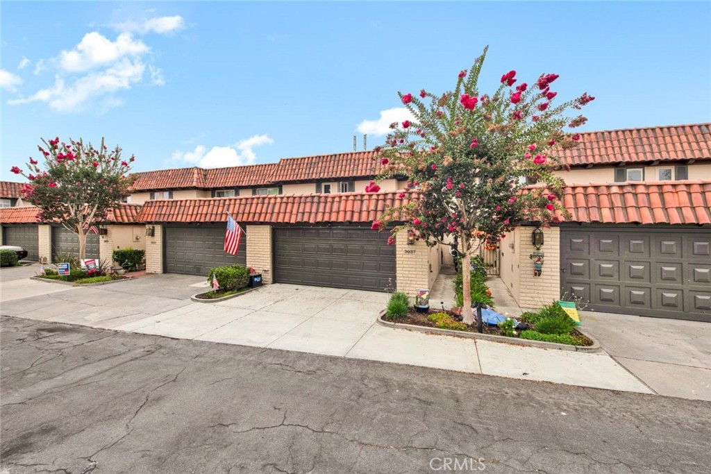 3037 Club House Circle