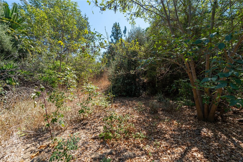 116 S Nohl Canyon Road