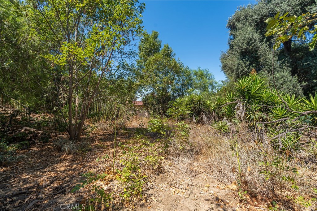 116 S Nohl Canyon Road