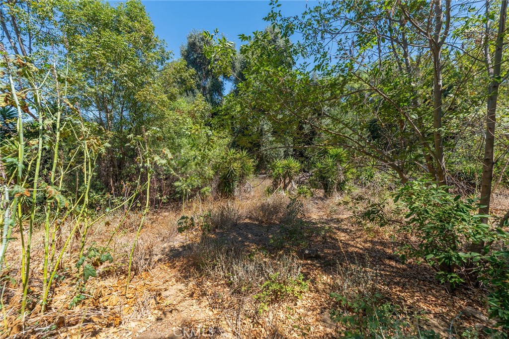 116 S Nohl Canyon Road