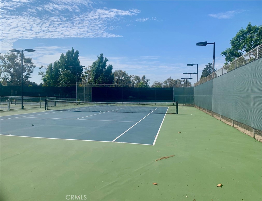 65 Orange Blossom 80