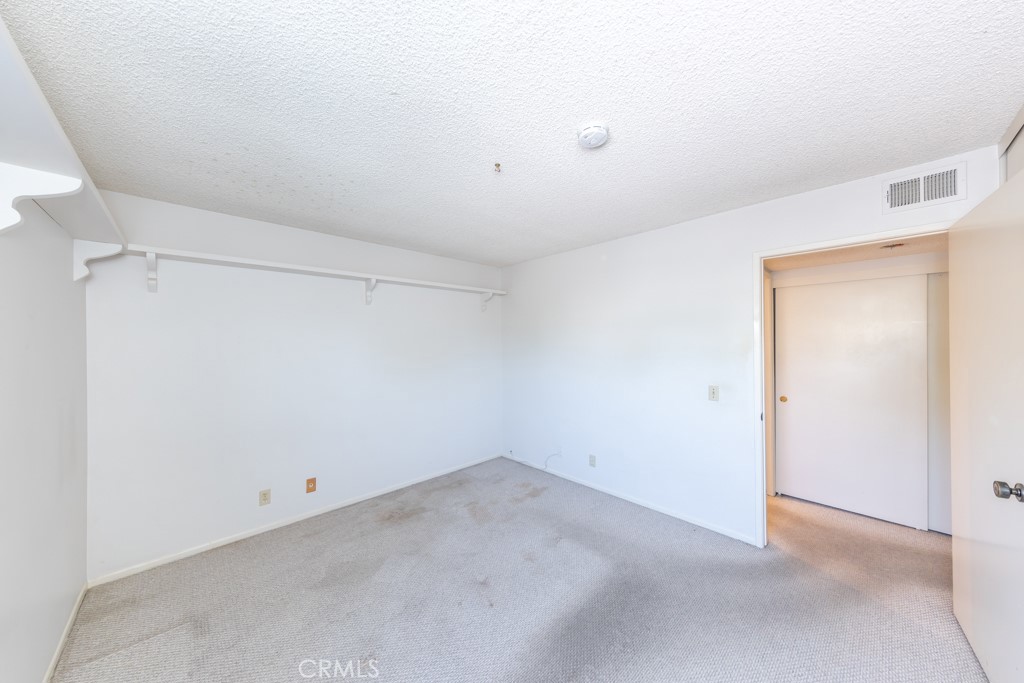 65 Orange Blossom 80