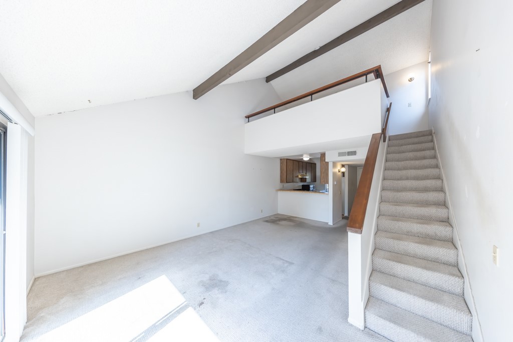 65 Orange Blossom 80