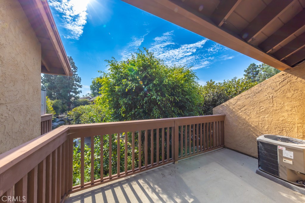 65 Orange Blossom 80