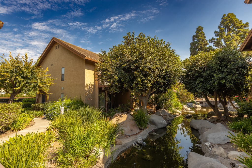 65 Orange Blossom 80