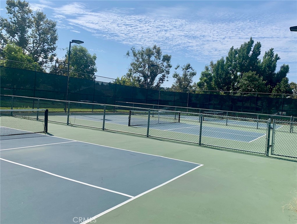 65 Orange Blossom 80