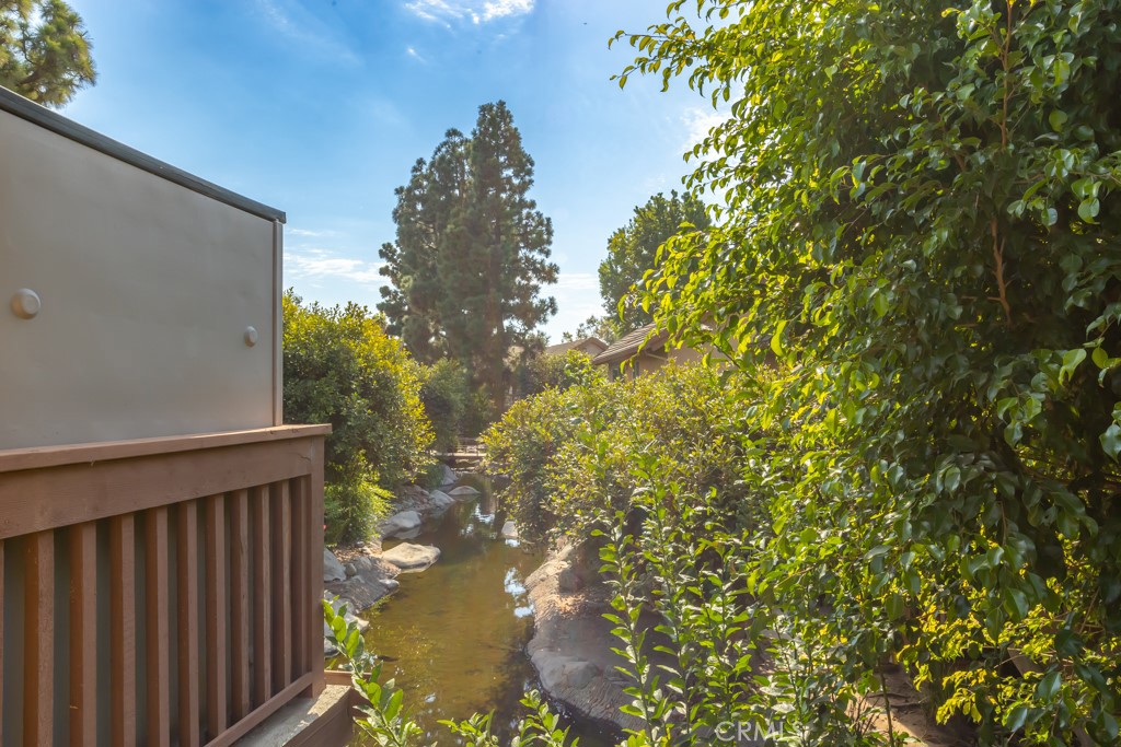 65 Orange Blossom 80