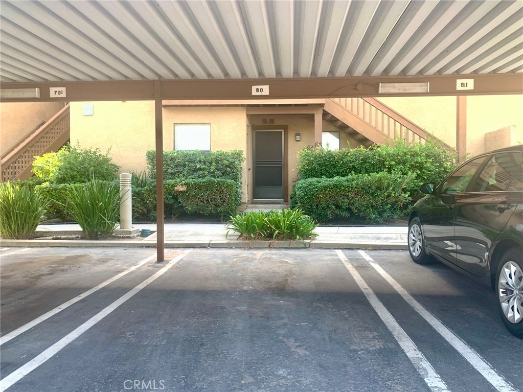 65 Orange Blossom 80