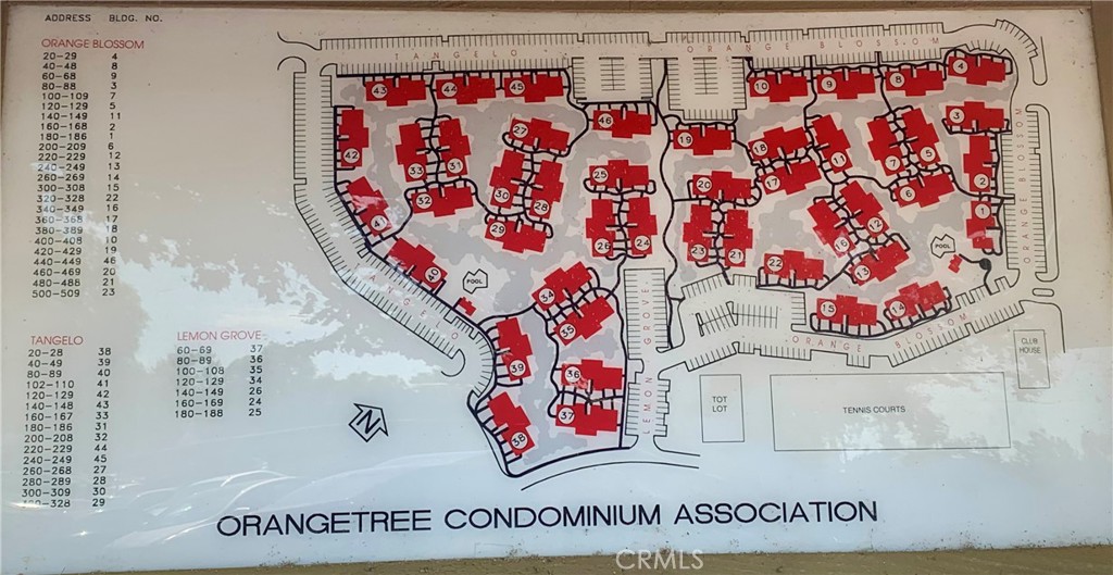 65 Orange Blossom 80