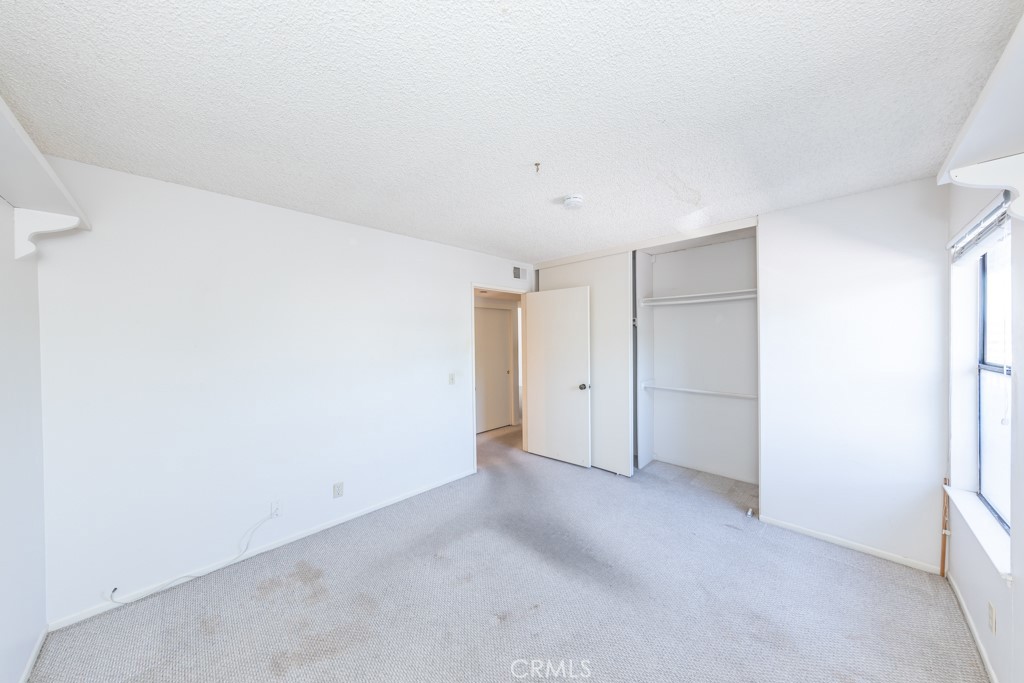 65 Orange Blossom 80