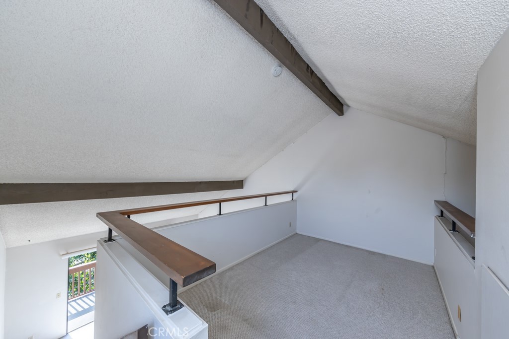 65 Orange Blossom 80