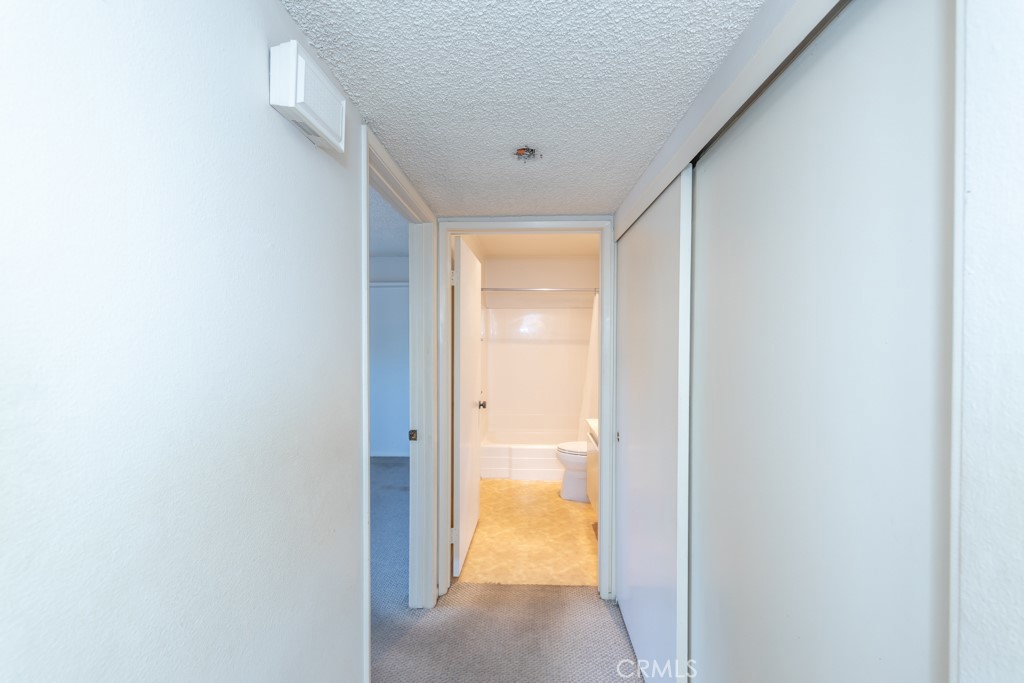 65 Orange Blossom 80