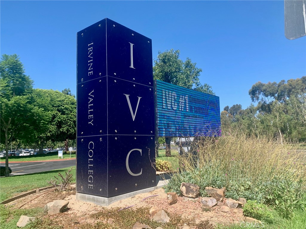 65 Orange Blossom 80