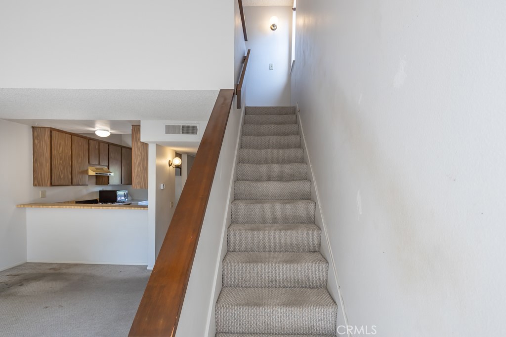 65 Orange Blossom 80