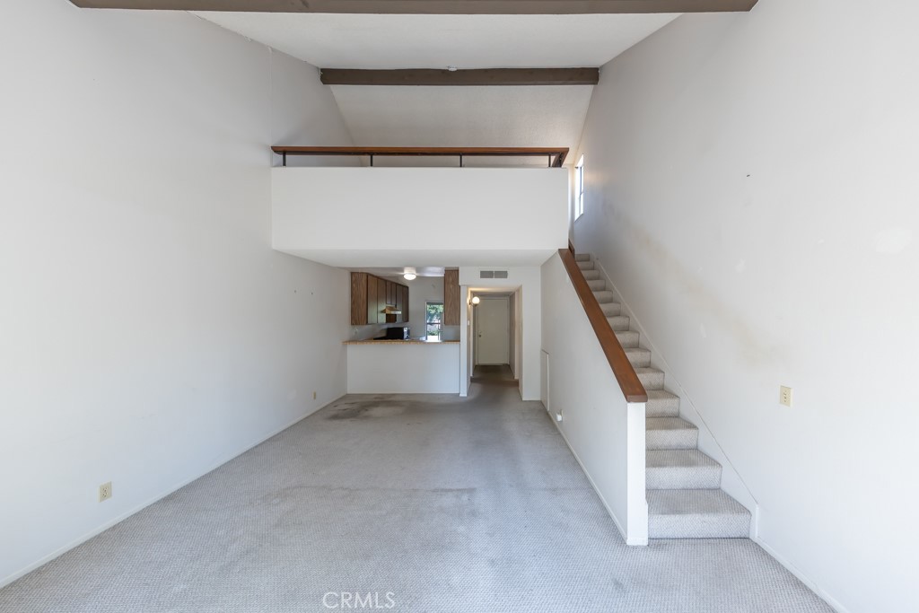 65 Orange Blossom 80