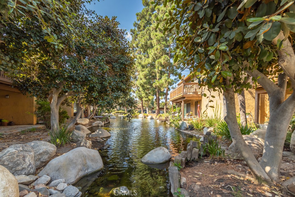 65 Orange Blossom 80