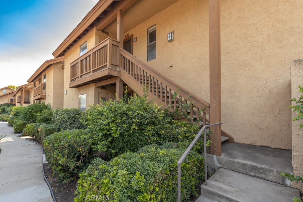 65 Orange Blossom 80