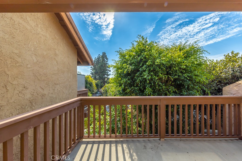 65 Orange Blossom 80