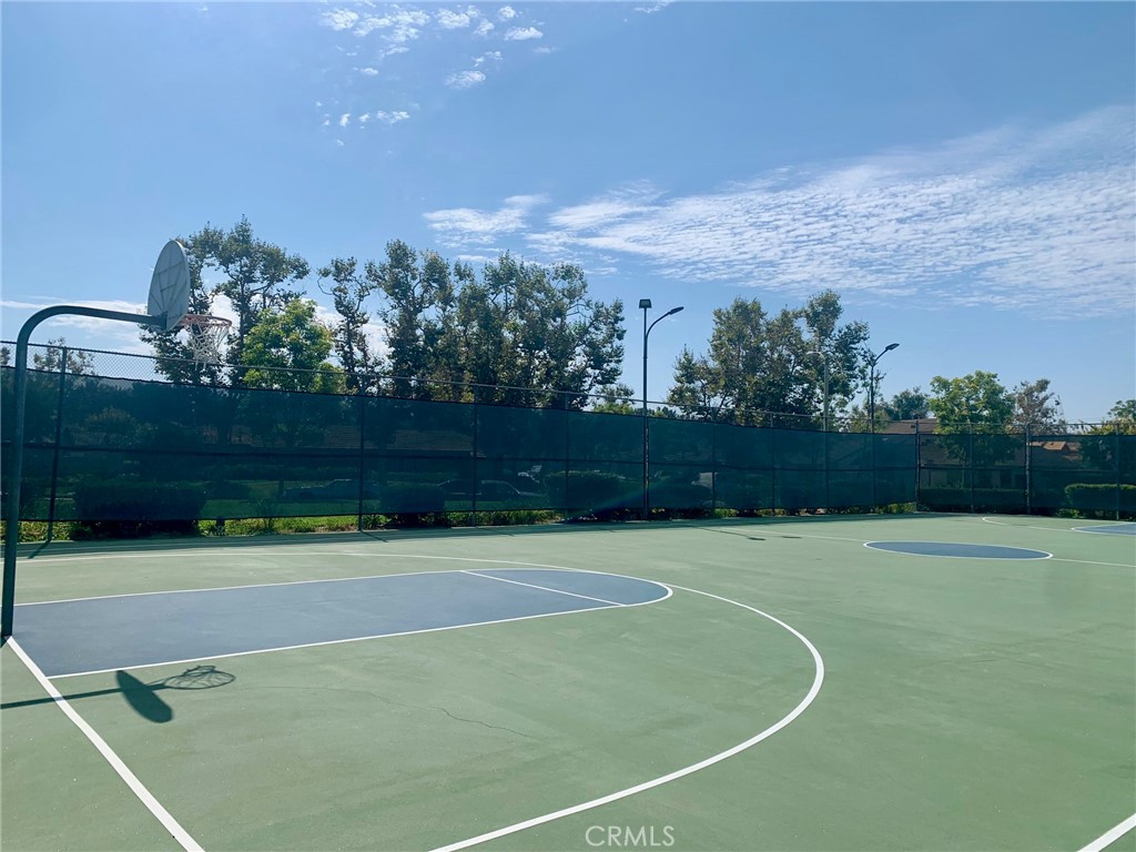 65 Orange Blossom 80