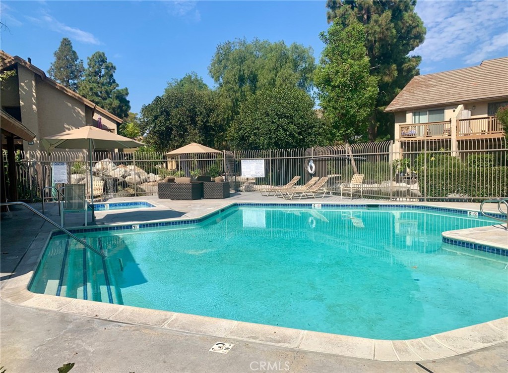 65 Orange Blossom 80