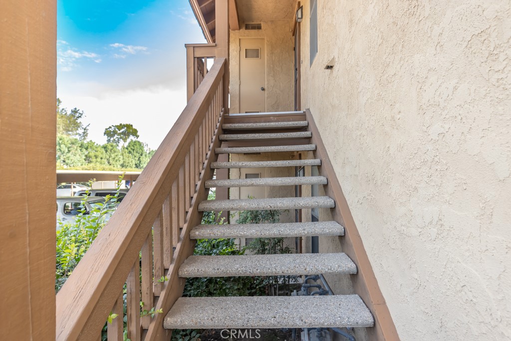 65 Orange Blossom 80