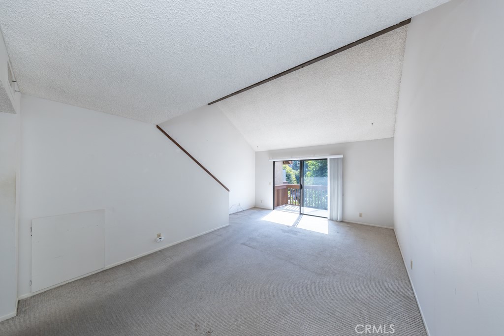 65 Orange Blossom 80