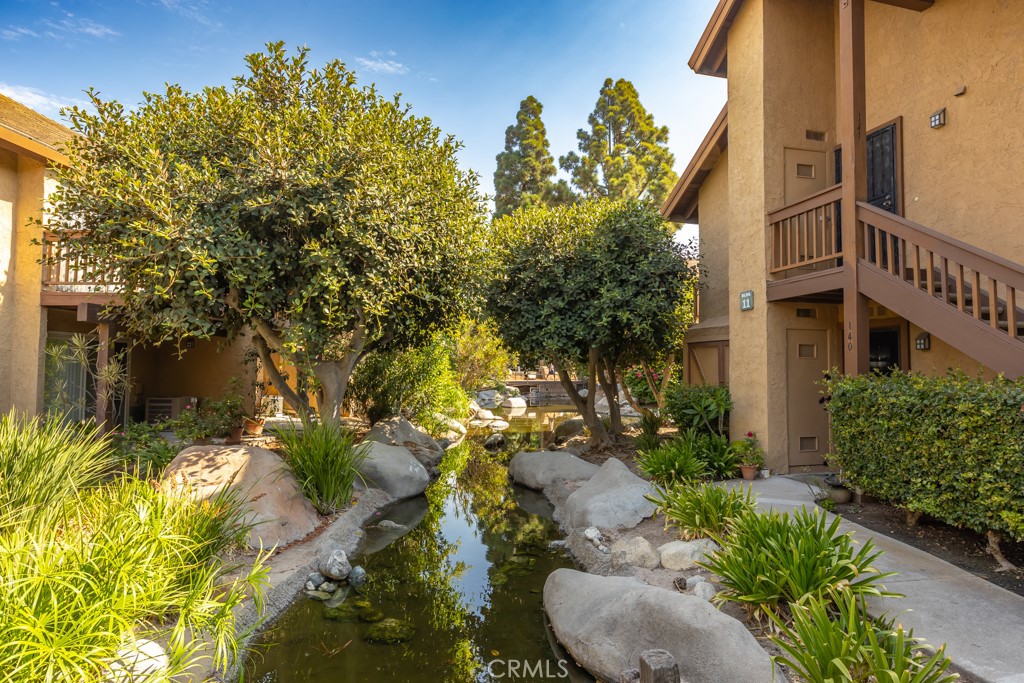 65 Orange Blossom 80