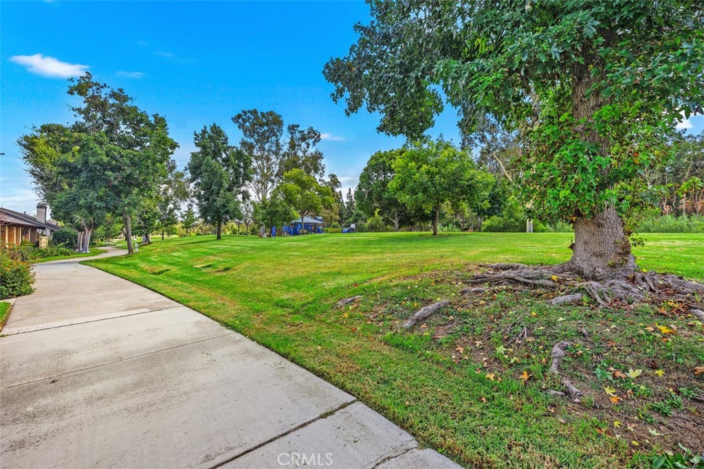 22926 Caminito Nicosia 43