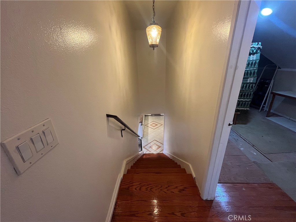 11052 Blue Allium Avenue