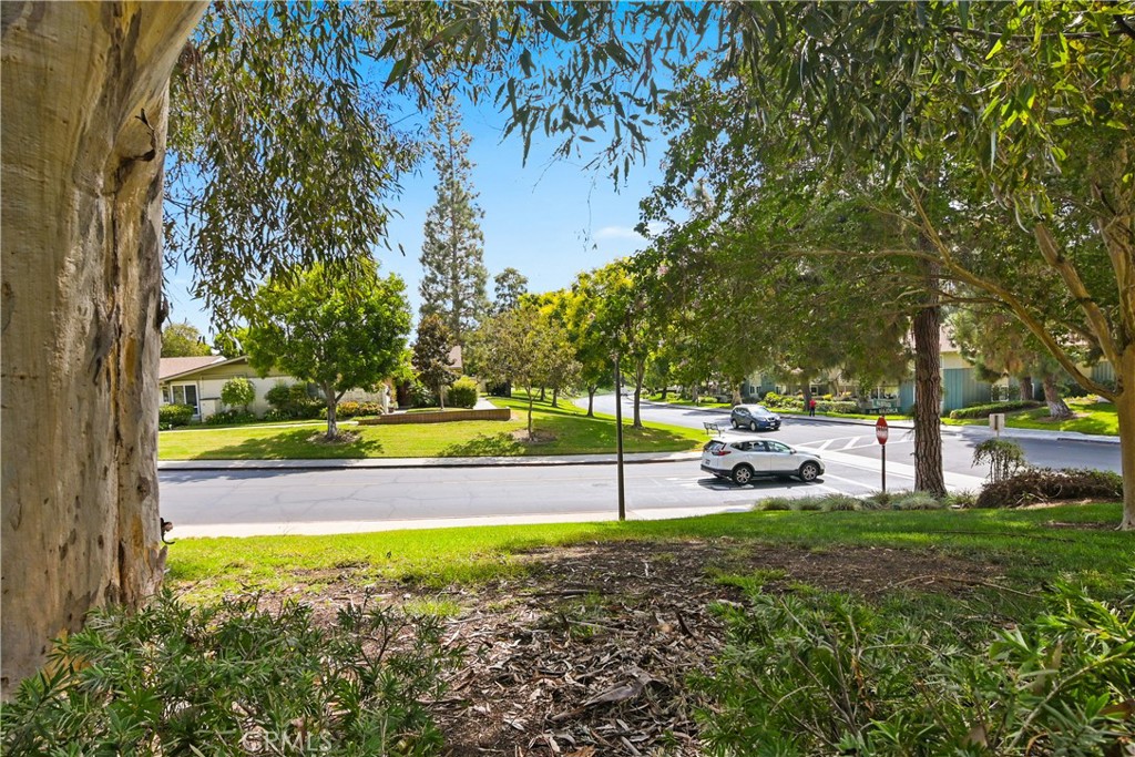 126 Avenida Majorca A