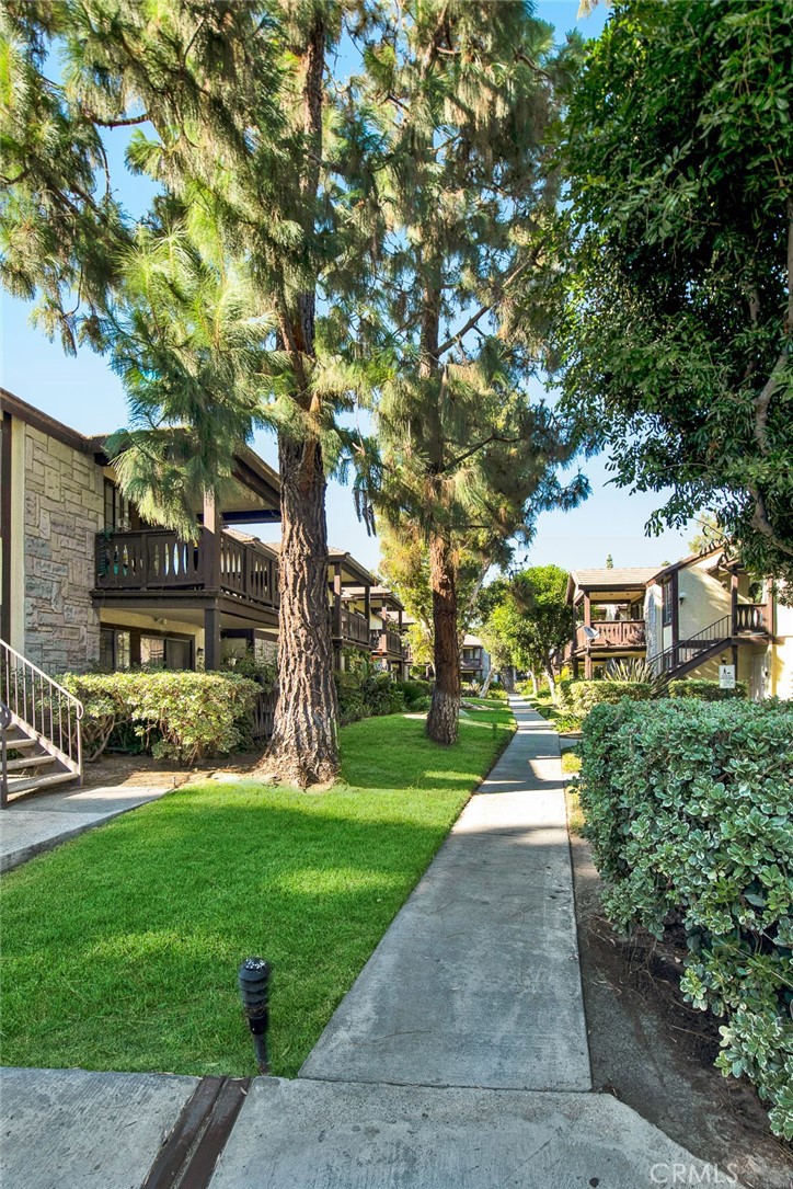 12409 Rock Springs Court