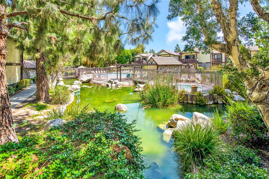 12409 Rock Springs Court