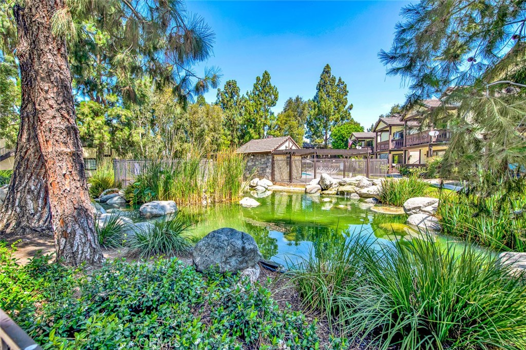 12409 Rock Springs Court