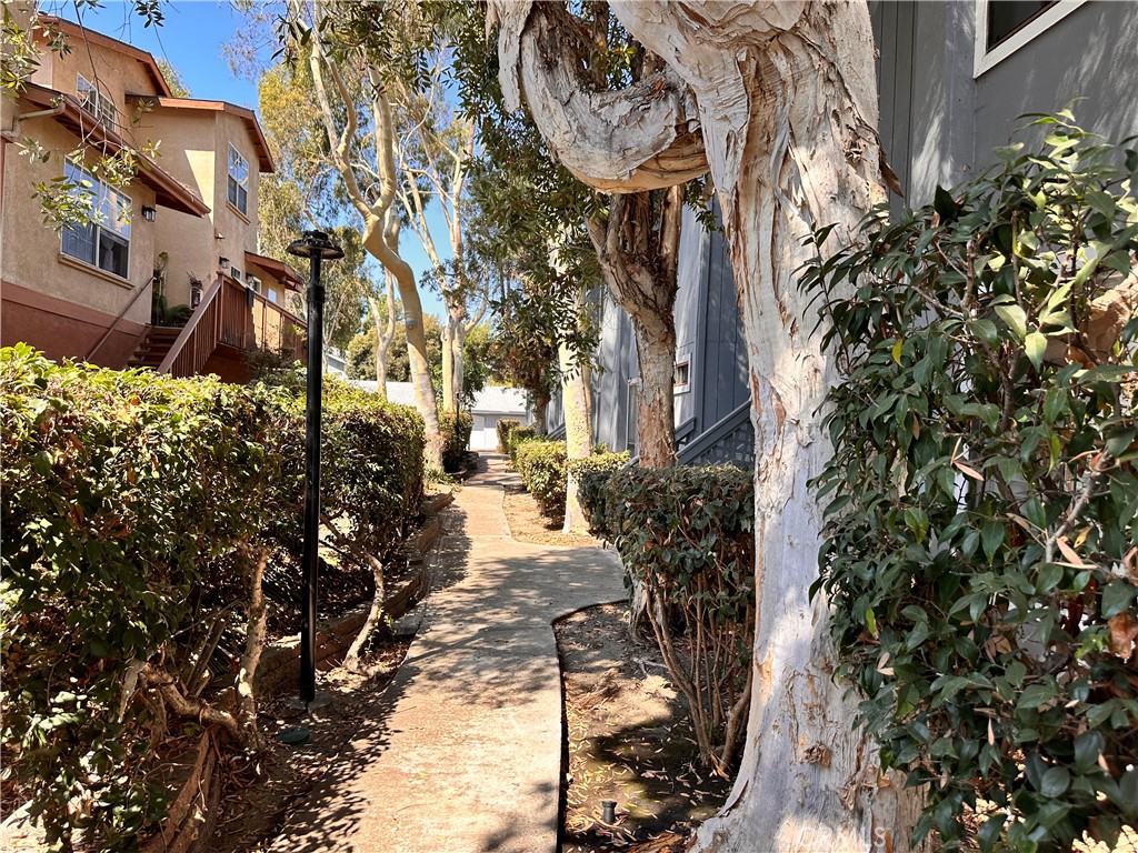 32221 Alipaz Street 102