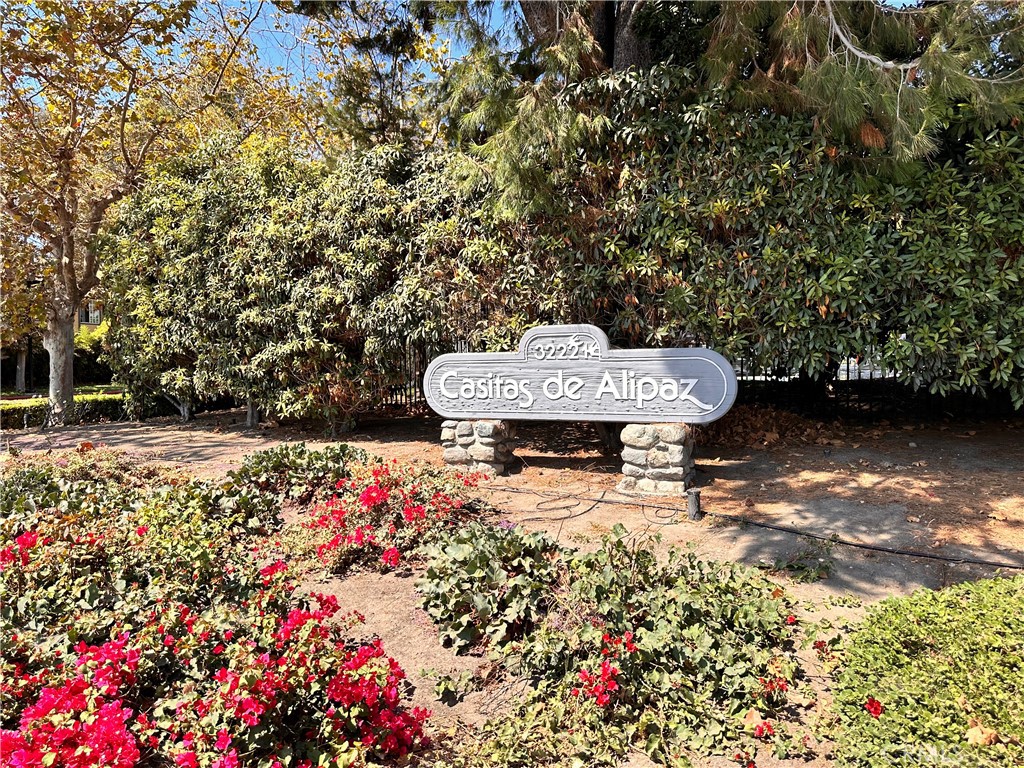 32221 Alipaz Street 102